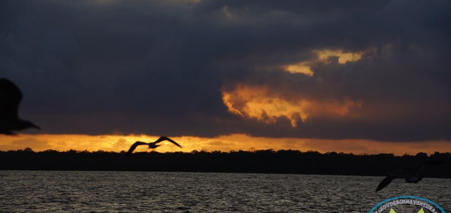 Atardeceres