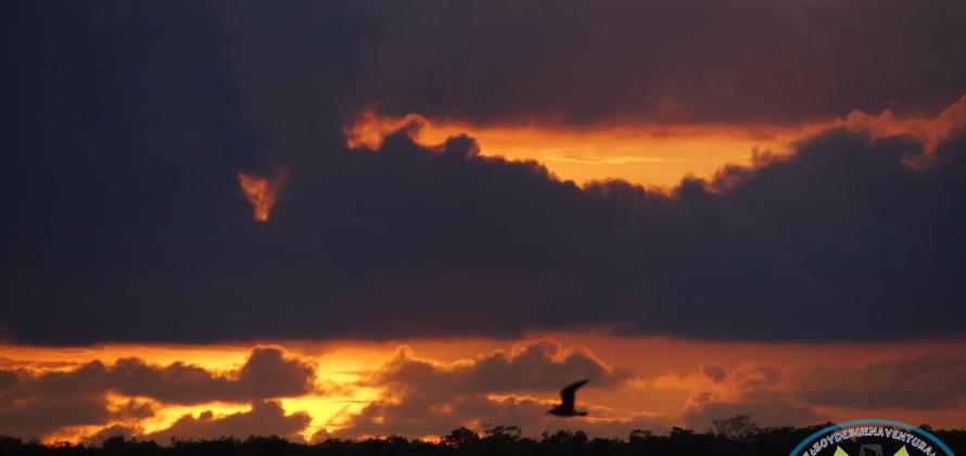 Atardeceres