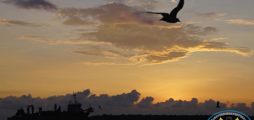 Atardeceres