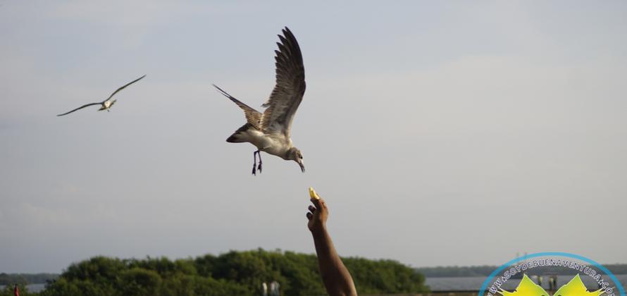 Buenaventura en postales