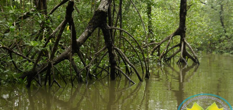 Buenaventura en postales
