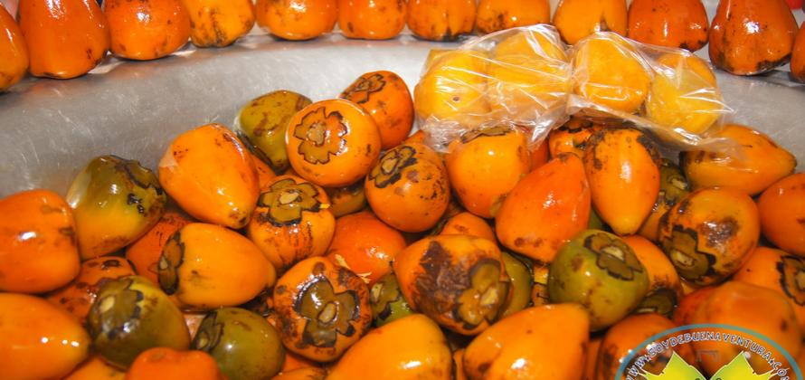 Buenaventura en postales