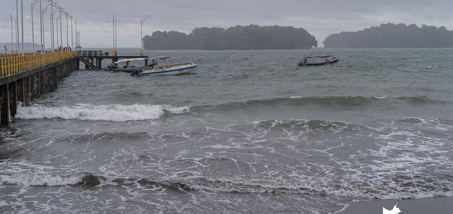 Enero de 2020 en fotos