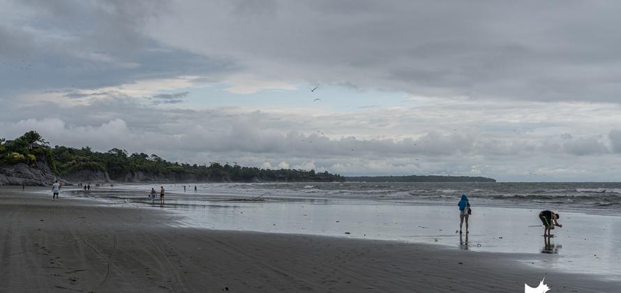 Enero de 2020 en fotos