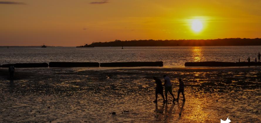 Enero de 2020 en fotos