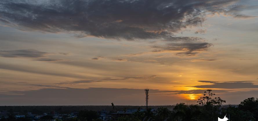 Febrero de 2020 en fotos