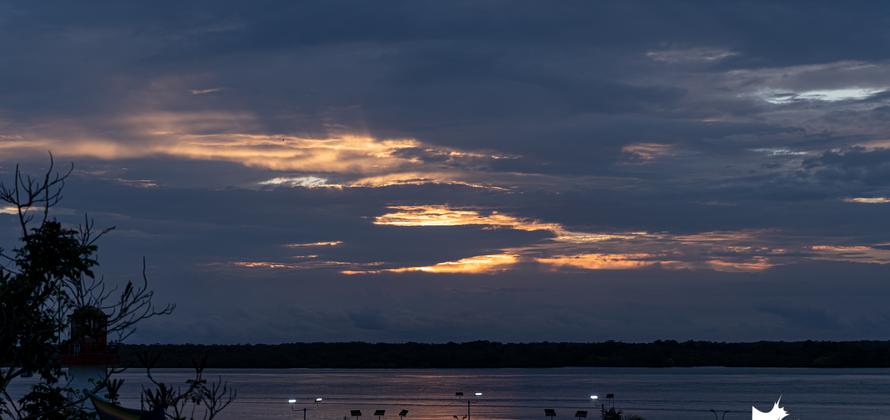 Febrero de 2020 en fotos