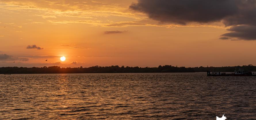 Febrero de 2020 en fotos