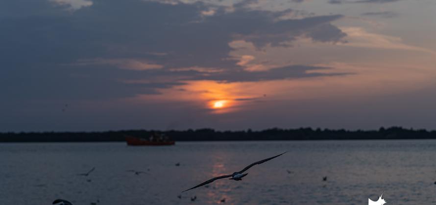 Febrero de 2020 en fotos