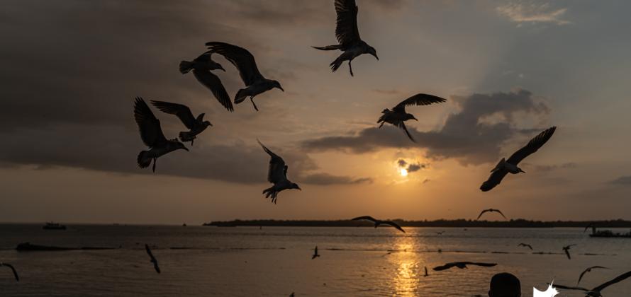 Febrero de 2020 en fotos