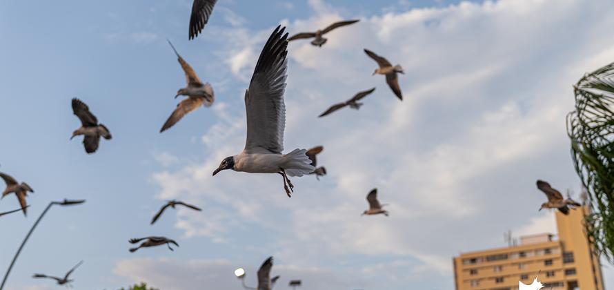 Febrero de 2020 en fotos