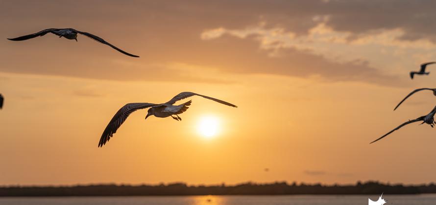 Febrero de 2020 en fotos