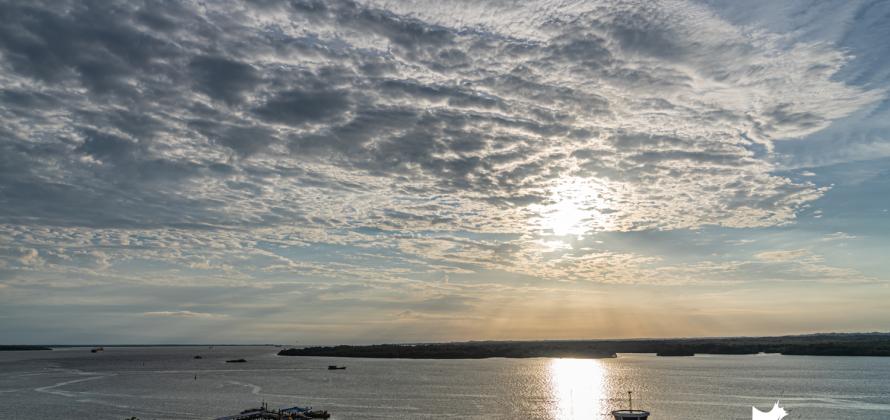 Febrero de 2020 en fotos