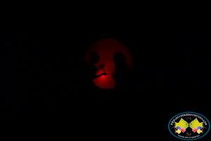 Se realizó con éxito la obra de teatro Griots, Cuentos Africanos 
