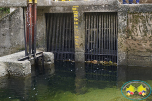 Buenaventura se encuentra en Calamidad Pública por bajo caudal en la bocatoma del acueducto