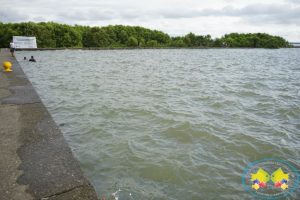 Alerta en Buenaventura por altas mareas de los próximos 3 días