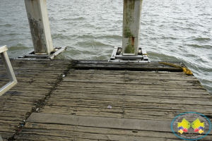 La Supertransporte sancionó a INCIVA por mal estado y uso sin permiso del muelle turístico de Buenaventura 