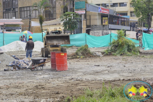 Concejales solicitan explicación sobre tala de árboles en obras del Malecón Bahía de la Cruz