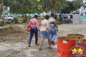 Concejales solicitan explicación sobre tala de árboles en obras del Malecón Bahía de la Cruz