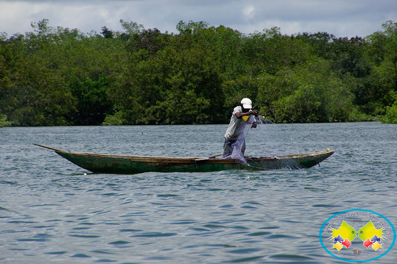 Problemática que afecta a los pescadores del pacífico colombiano será abordad en Buenaventura por la Comisión Quinta del Senado 
