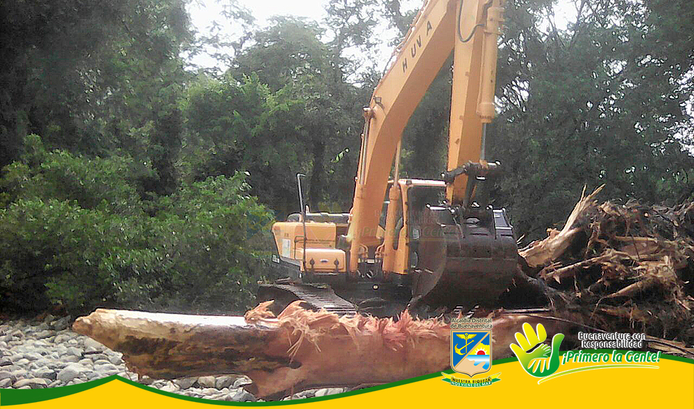 Retiran árbol en el charco La Tortuga en San Cipriano que causaba emergencias a los bañistas