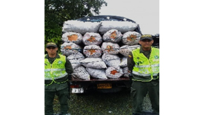 Fueron capturadas cinco personas por diferentes delitos en Buenaventura 