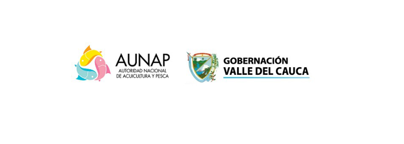 El Valle le apuesta a la producción de peces ornamentales en Buenaventura