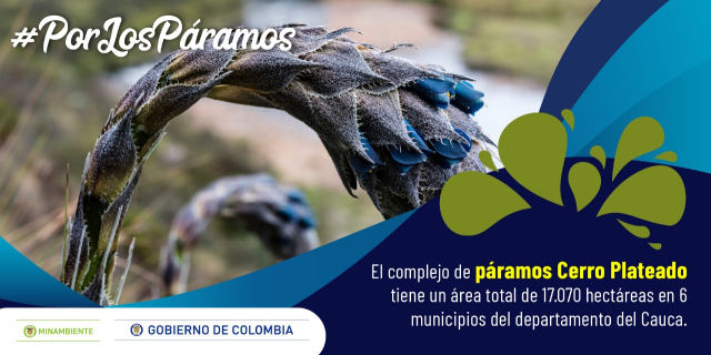 El Gobierno nacional entregó todos los 37 complejos de páramos del país protegidos