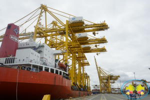 Arribaron a la Sociedad Portuaria Buenaventura 3 nuevas grúas pórtico para mejorar su atención a buques portacontenedores