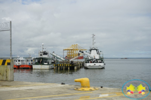 Arribaron a la Sociedad Portuaria Buenaventura 3 nuevas grúas pórtico para mejorar su atención a buques portacontenedores