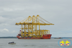Arribaron a la Sociedad Portuaria Buenaventura 3 nuevas grúas pórtico para mejorar su atención a buques portacontenedores