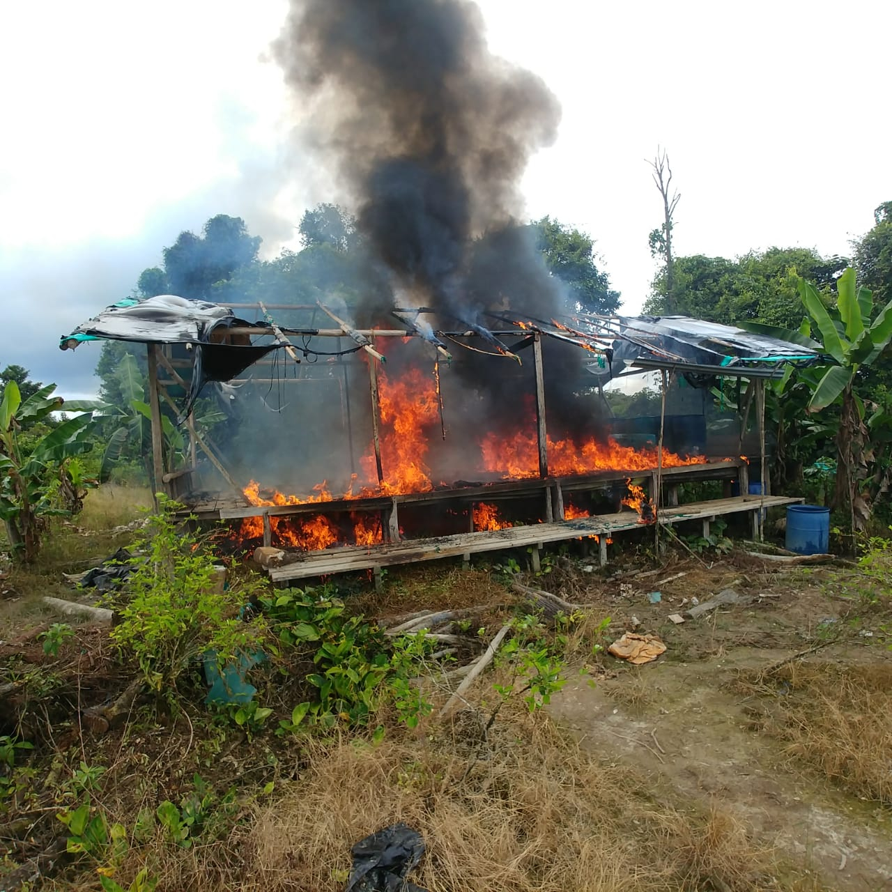 Destruidos dos laboratorios para el procesamiento de alcaloides en López de Micay, Cauca 