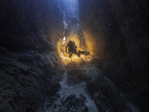 El Parque Nacional Natural Gorgona y el Santuario de Fauna y Flora Malpelo reabrieron sus puertas al ecoturismo 
