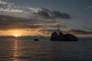 El Parque Nacional Natural Gorgona y el Santuario de Fauna y Flora Malpelo reabrieron sus puertas al ecoturismo 