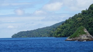 El Parque Nacional Natural Gorgona y el Santuario de Fauna y Flora Malpelo reabrieron sus puertas al ecoturismo 