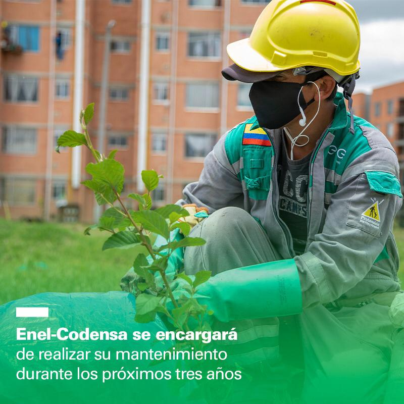 ENEL-CODENSA ejecuta plan para beneficiar el entorno y comunidades de la Subestación Compartir