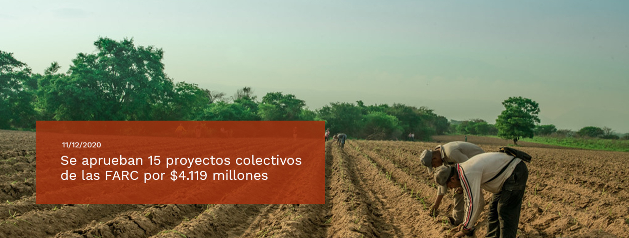 Se aprobaron 15 proyectos colectivos de las FARC por $ 4.119 millones