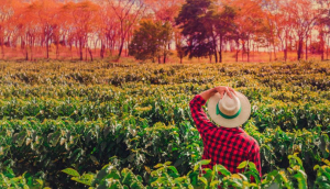 Emprendimientos de bioeconomía, biotecnología y tecnologías convergentes recibirán apoyo económico