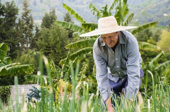 Conozca la experiencia exitosa de la Alcaldía de Medellín ganadora del Premio Nacional de Alta Gerencia 2020
