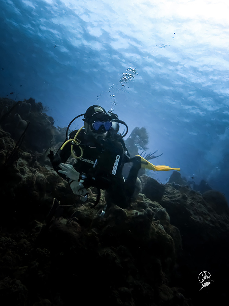 En el día internacional del buzo un experto colombiano revela las claves para convertirse en un profesional del buceo
