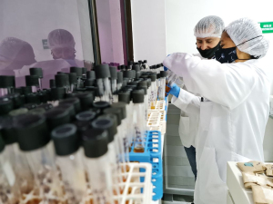 Dirección General Marítima le apunta al fortalecimiento y acreditación de los procesos de sus laboratorios en el pacífico