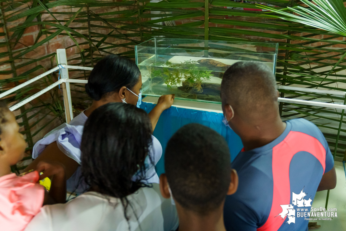 Se realiza con éxito la exhibición de peces en el corregimiento de Triana en Buenaventura 