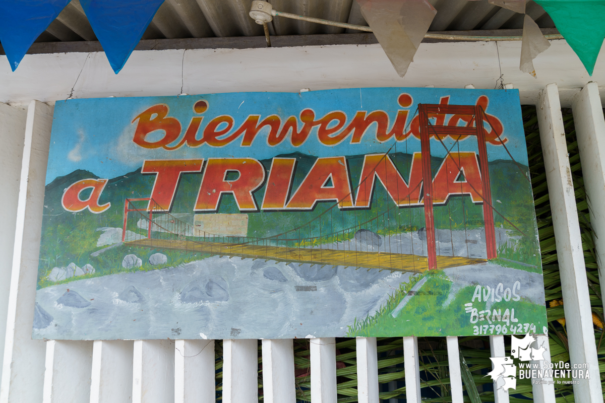Para reactivar la economía, en noviembre se realizará nuevamente el Festival del Viche en Triana, zona rural de Buenaventura