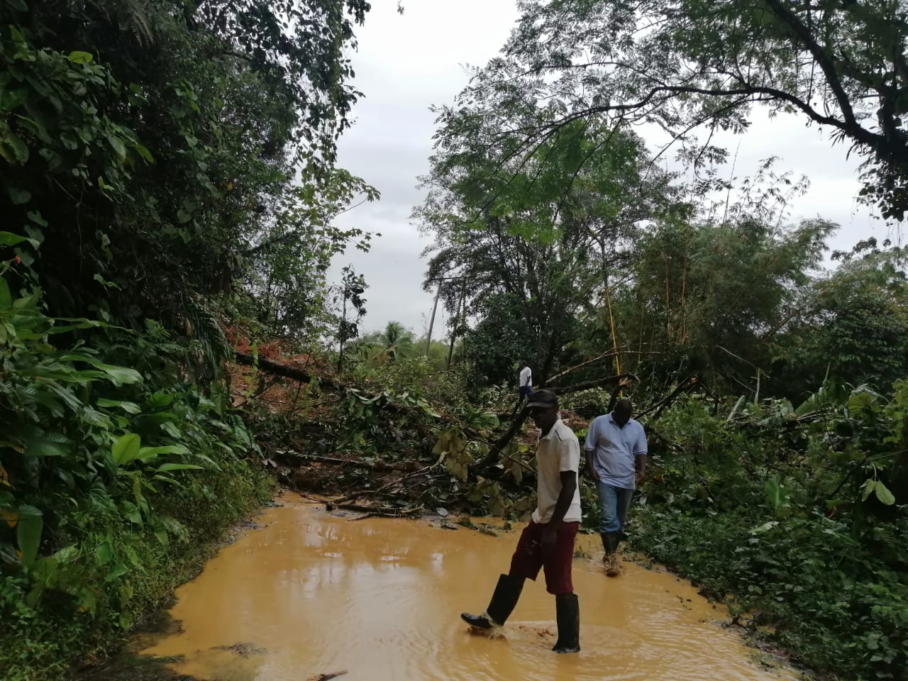 Gobierno del Valle apoya a Buenaventura en la atención de emergencia registrada en Anchicayá