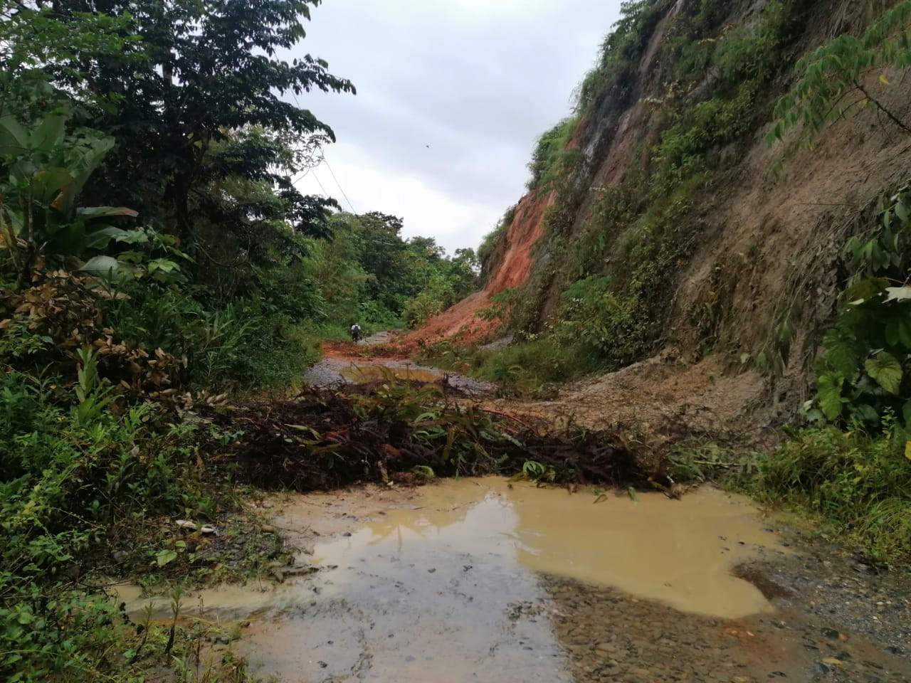 Gobierno del Valle apoya a Buenaventura en la atención de emergencia registrada en Anchicayá