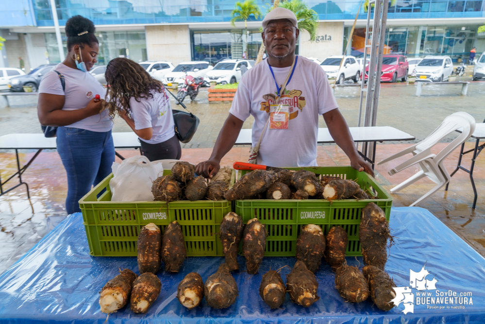 Avanza con éxito la XV Expoferia Campesina 2021 en Buenaventura