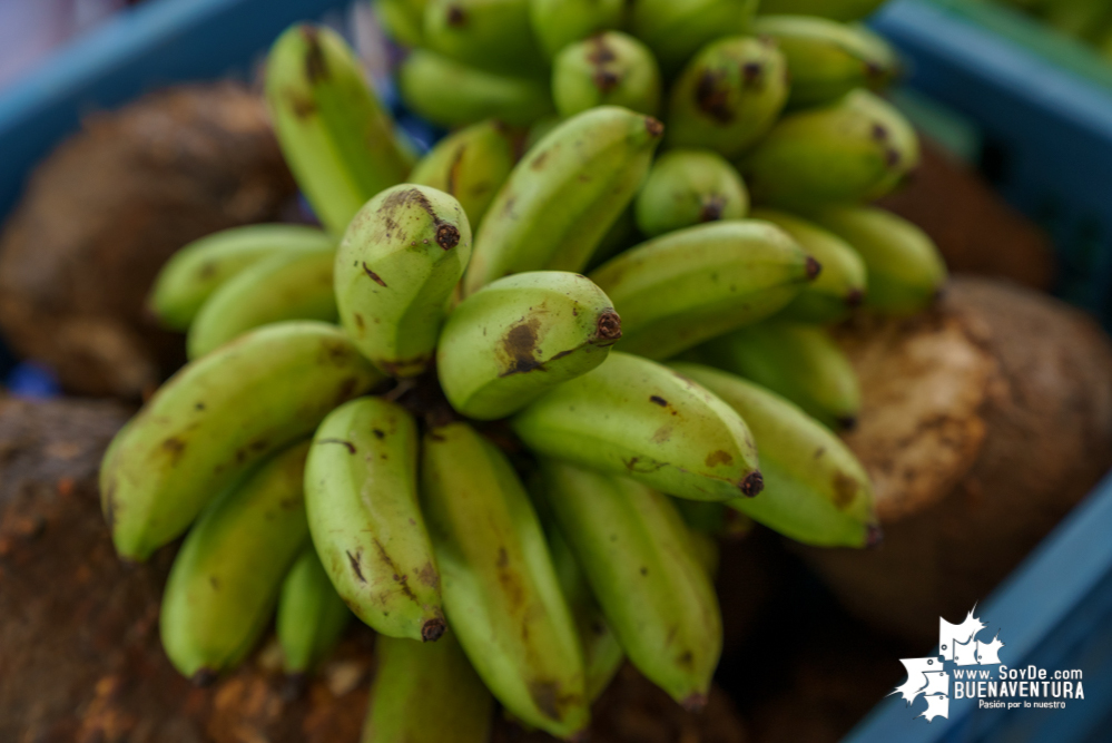 Avanza con éxito la XV Expoferia Campesina 2021 en Buenaventura