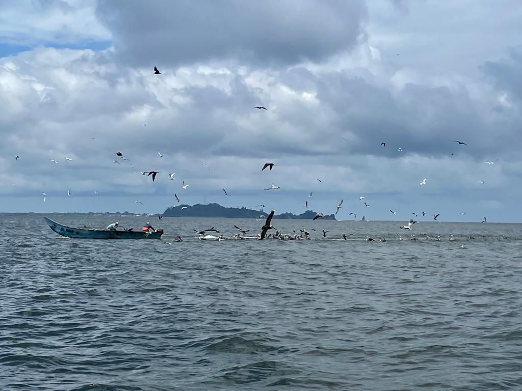 La Dirección General Marítima mantiene su compromiso con el plan de ordenamiento marino costero de Tumaco, Nariño