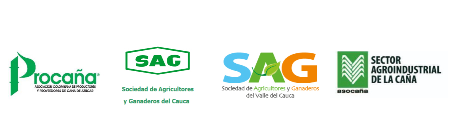 Gremios del Valle del Cauca y Cauca hacen llamado urgente frente al recrudecimiento de la violencia en estos departamentos