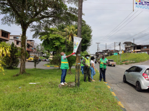 Publicidad política exterior instalada sin autorización es retirada por la Dirección Técnica Ambiental de l Alcaldía Distrital de Buenaventura